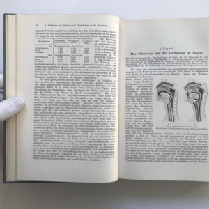 Lehrbuch der Physiologie des Menschen, Rudolf Höber