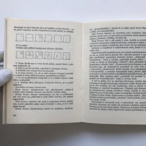 Já a my, Vladimír Levi