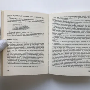 Já a my, Vladimír Levi