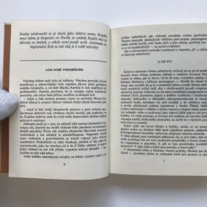 Umění sebevlády, Vladimír Levi