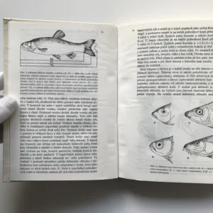 Ryby v našich vodách, Stanislav Lusk, Vlastimil Baruš, Jiří Vostradovský