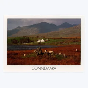 Connemara (Irsko)