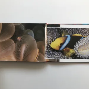 Underwater Fiji, Mecki Kronen, Gerhard Zieroth