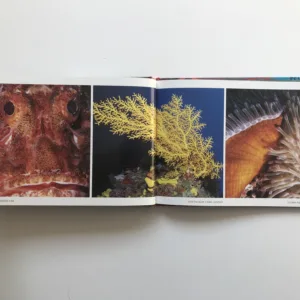 Underwater Fiji, Mecki Kronen, Gerhard Zieroth