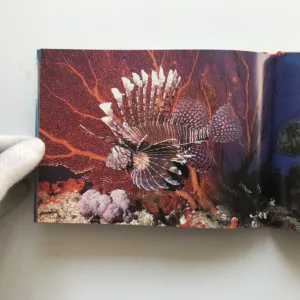 Underwater Fiji, Mecki Kronen, Gerhard Zieroth