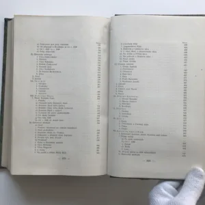 Brandejs nad Labem, město, panství a okres, Díl III., Justin V. Prášek