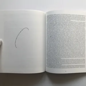 Estetické problémy pod napětím – Meziválečná avantgarda, surrealismus, levice, Oleg Sus, Jan Steklík