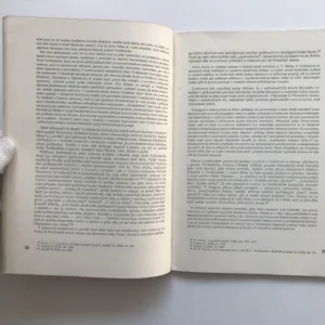 Hledání hodnot (O literární kritice devadesátých let), Ludmila Lantová