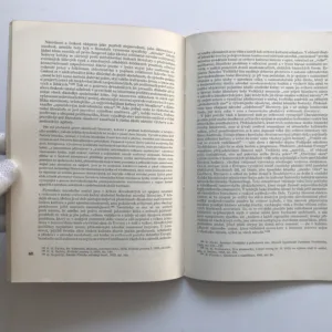 Hledání hodnot (O literární kritice devadesátých let), Ludmila Lantová