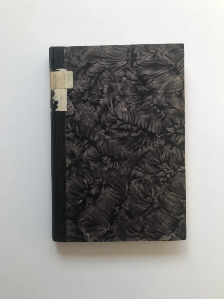 Rukověť k písemnictví humanistickému, zvláště básnickému v Čechách a na Moravě ve století XVI. (I. svazek), Antonín Truhlář