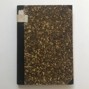 Zlomek evangelistáře XIII. století sofijské národní knihovny (č. 397) – Studie gramaticko-lexikální, Josef Páta