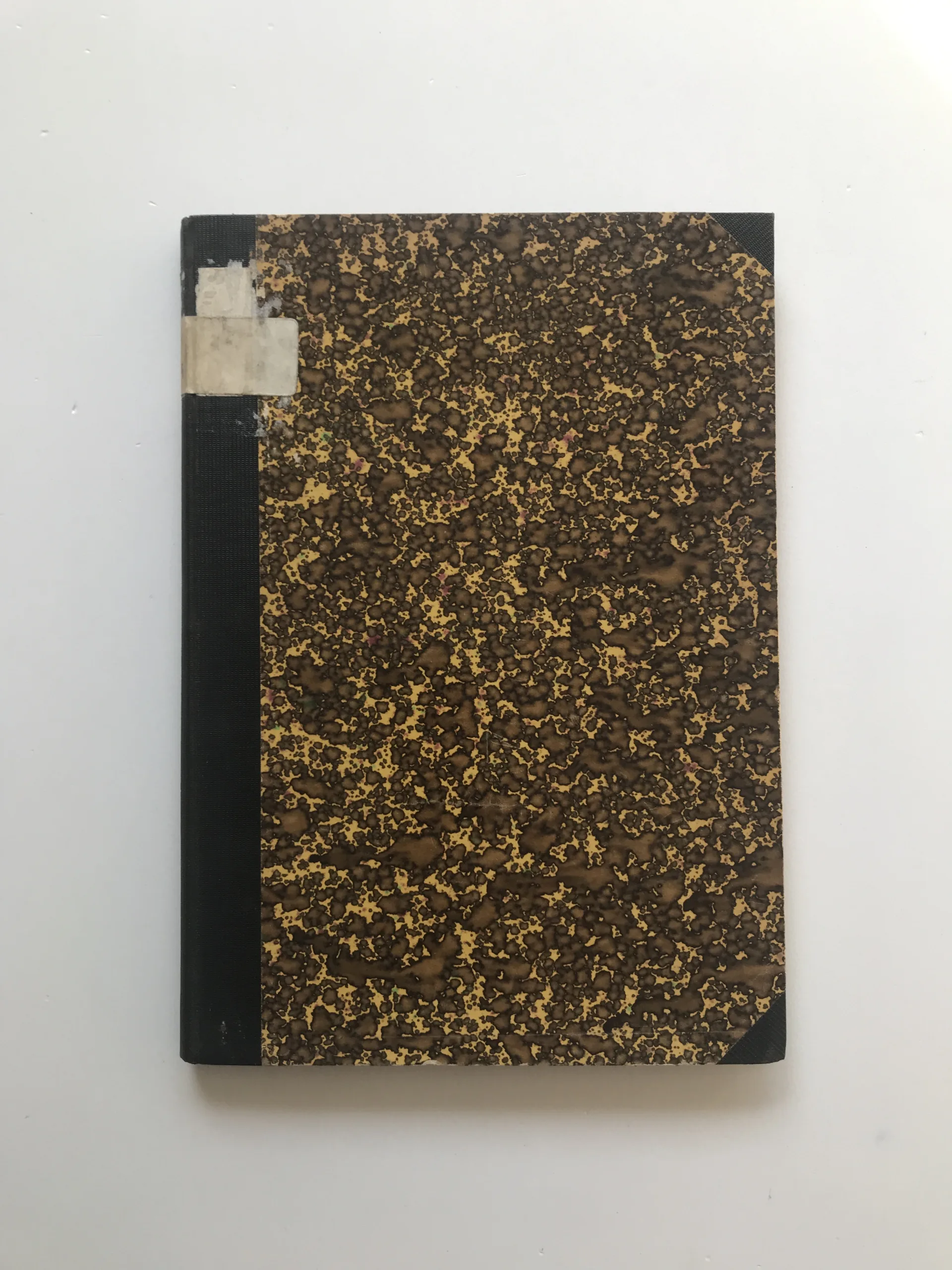 Zlomek evangelistáře XIII. století sofijské národní knihovny (č. 397) – Studie gramaticko-lexikální, Josef Páta