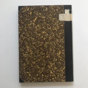 Zlomek evangelistáře XIII. století sofijské národní knihovny (č. 397) – Studie gramaticko-lexikální, Josef Páta