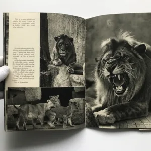 O lvíčku Simbovi, Václav Jan Staněk