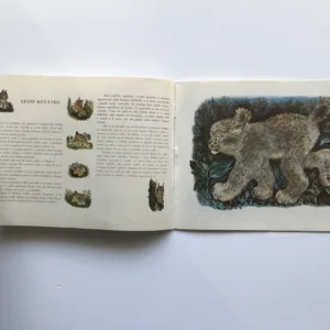 Zvířátka, Jevgenij Ivanovič Čarušin