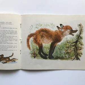 Zvířátka, Jevgenij Ivanovič Čarušin