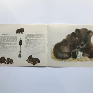 Zvířátka, Jevgenij Ivanovič Čarušin