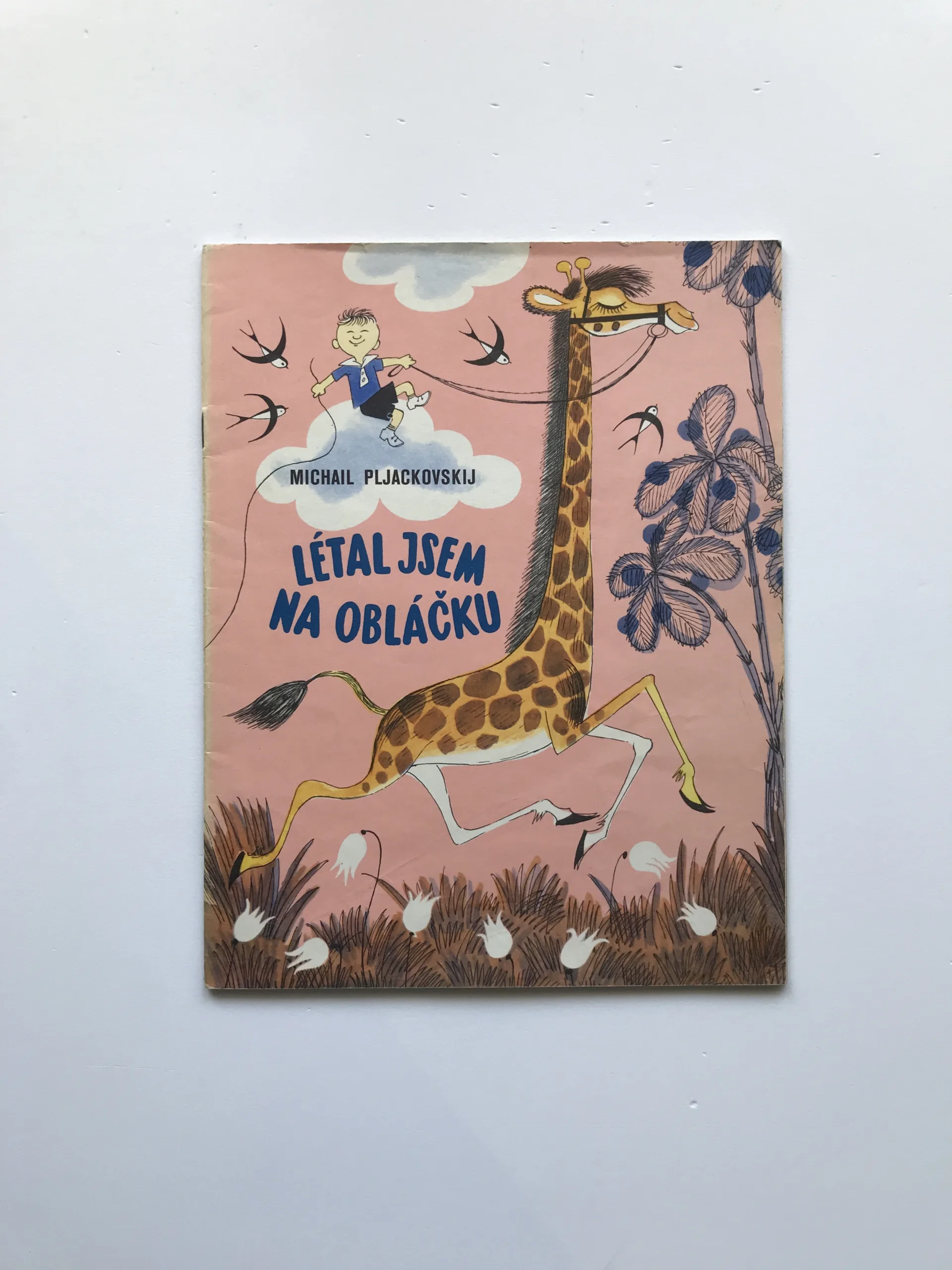 Létal jsem na obláčku, Michail Pljackovskij, Viktor Čižikov, Eva Provazníková