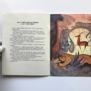 Létal jsem na obláčku, Michail Pljackovskij, Viktor Čižikov, Eva Provazníková