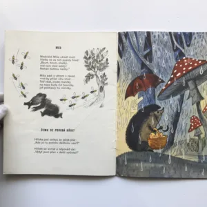 Létal jsem na obláčku, Michail Pljackovskij, Viktor Čižikov, Eva Provazníková