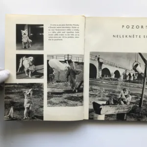 Klaun Ferdinand a raketa, Ota Hofman, Miroslav Pešan