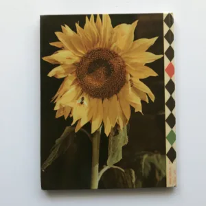 Klaun Ferdinand a raketa, Ota Hofman, Miroslav Pešan