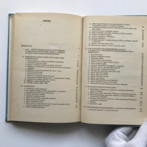 Organizace spojených národů (Čtvrté desetiletí), Miroslav Potočný