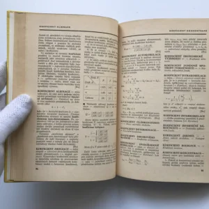 Stručný statistický slovník pro hospodářské pracovníky, Vladimír Roubíček, kolektiv autorů