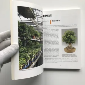 Bonsai nejen v paneláku, Jaroslav Pišl, kolektiv autorů