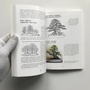 Bonsai nejen v paneláku, Jaroslav Pišl, kolektiv autorů