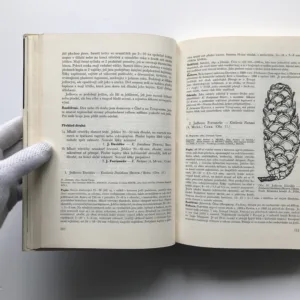 Jehličnaté stromy a keře našich zahrad a parků, Albert Pilát