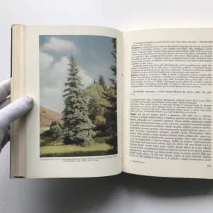 Jehličnaté stromy a keře našich zahrad a parků, Albert Pilát