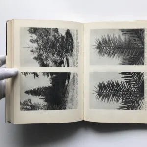 Jehličnaté stromy a keře našich zahrad a parků, Albert Pilát