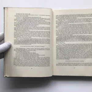 O starých malbách a jejich restaurování, František Petr