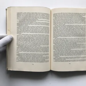 O starých malbách a jejich restaurování, František Petr