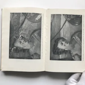 O starých malbách a jejich restaurování, František Petr