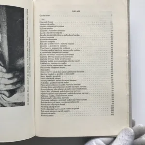 O starých malbách a jejich restaurování, František Petr