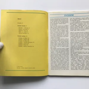 Lidové vánoční ozdoby