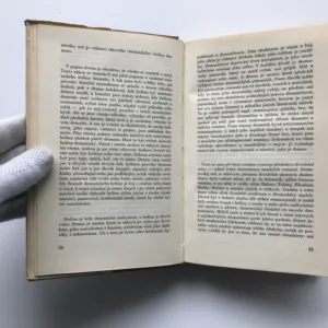 Drama i jeho svět, Frank Tetauer