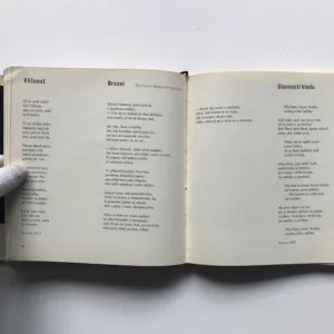 Já je někdo jiný (+ gramodeska), Arthur Rimbaud