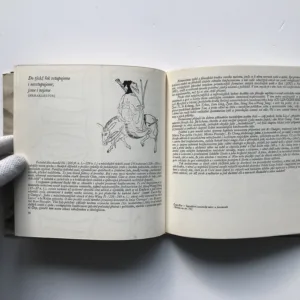 Tao (Texty staré Číny)