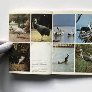 Ptáci Austrálie, Stanislav Chvapil