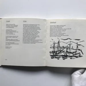 Co o sobě říkám, nejsem jen já (+ gramodeska a věnování autora), Josef Rybák