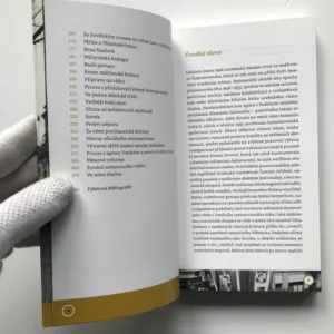 Brno stalinistické (Průvodce městem), Alexandr Brummer, Michal Konečný