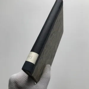 J'accuse! (O těch, kdo zradili Francii), André Simone