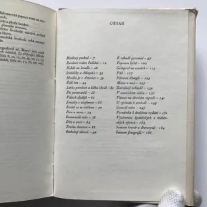 Mexiko je v Americe (Črty a snímky z cest), Norbert Frýd