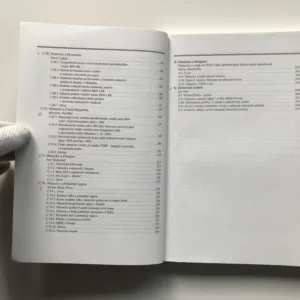 Vztahy Spolkové republiky Německo ke státům střední Evropy od roku 1990, Vladimír Handl, Jan Hon, Otto Pick