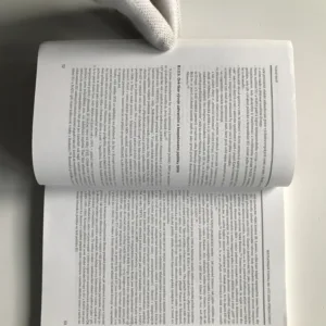 Vztahy Spolkové republiky Německo ke státům střední Evropy od roku 1990, Vladimír Handl, Jan Hon, Otto Pick