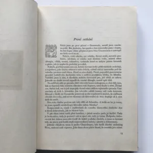 Usměvavá Guatemala (Črty a snímky z cest), Norbert Frýd