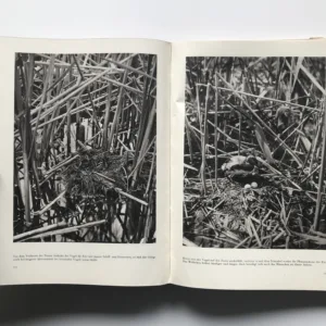 Geimnisvolles Leben am Wasser, Václav Jan Staněk